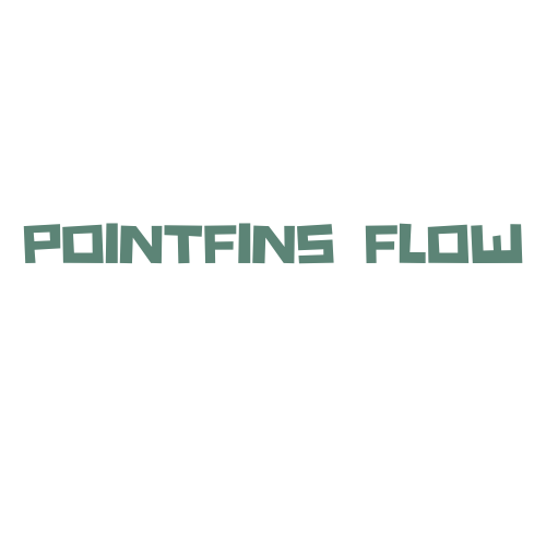 Pointfins Flow  